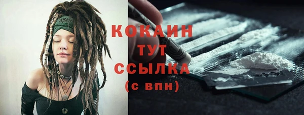 шишки Корсаков