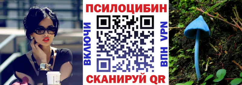 дарнет шоп Куса Галлюциногенные грибы GOLDEN TEACHER